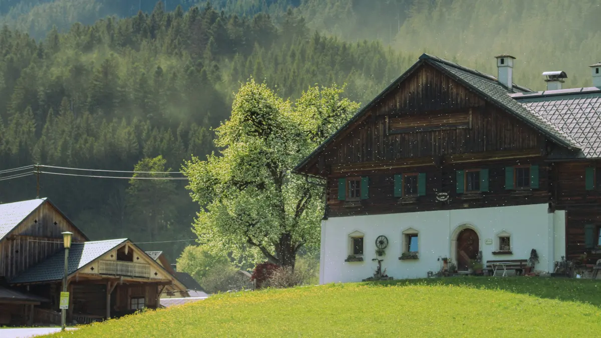 Bauernhof am Waldrand – Platzhalter für das Familienfoto